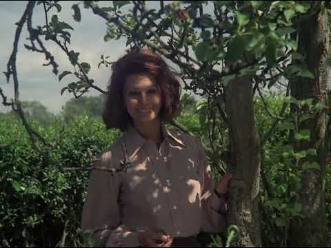 Késői találkozás | TELJES FILM MAGYARUL