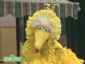 Sesame Street Elmo S World 1266