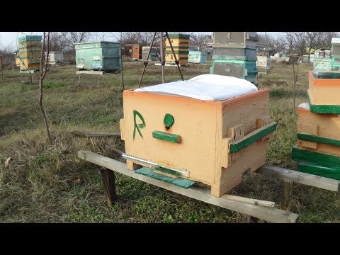 Прогретый верх для зимних облётов пчелы