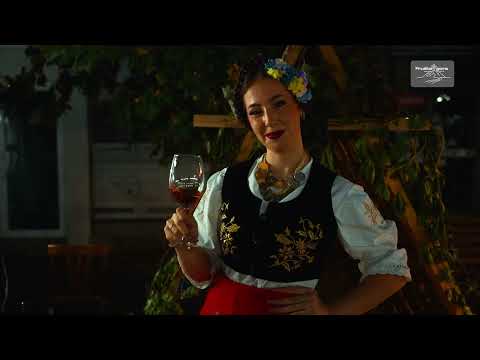 Fruška gora – Destinacija za sva čula | Irig, Beočin, Sremski Karlovci