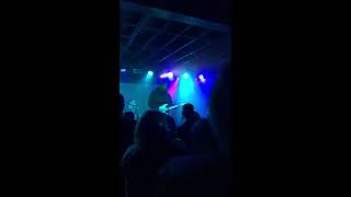 Miniature Tigers - &quot;Hot Venom&quot; - Live in KC (4K)