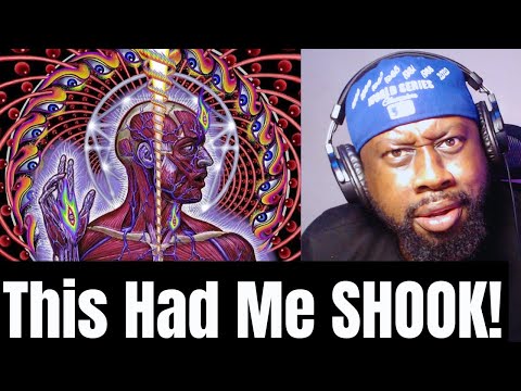 First Time Hearing Tool - Lateralus | Reaction