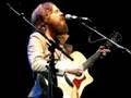 Iron & Wine - The Trapeze Swinger 