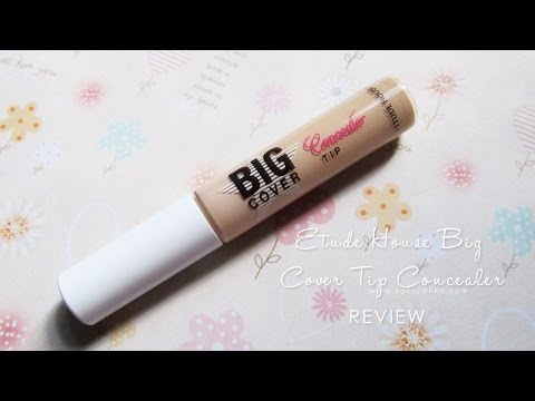 Etude House Big Cover Tip Concealer Beige Review