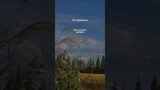 Download lagu ceramah || ceramah story || ceramah story WA || ceramah story WA 30 detik || ustadz Abdul somad mp3