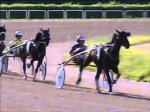 Trotto 29/05/2014 Corsa 6