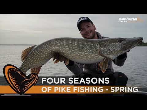 Four Seasons of Pike Fishing - Episode #1 - Spring - with Sean Wit