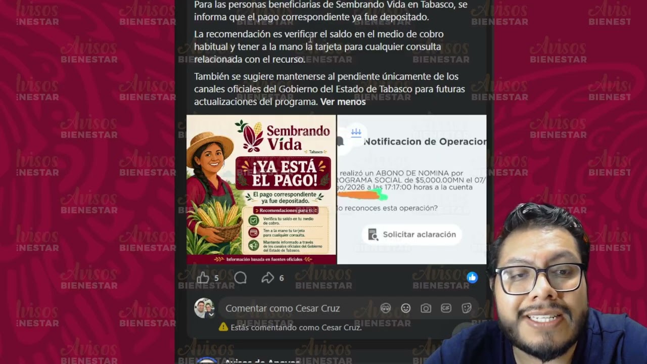 ¡YA CAYO EL PAGO! del programa sembrando vida, agosto 2026, no se te pase