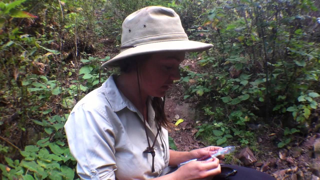 https://www.youtube.com/embed/lnHOJkm8yhc