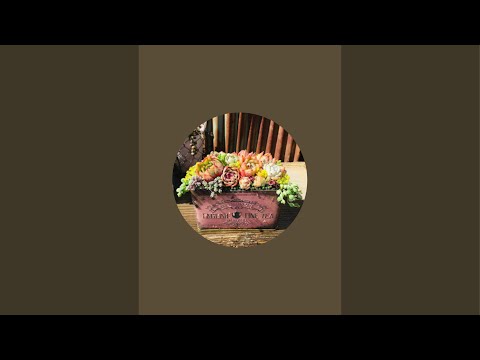 プレーリーユリ、カマシア