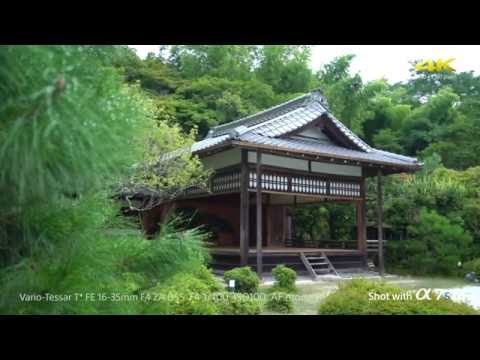 α7S II - High quality 4K movie "Takigi-noh" in Full frame | Sony | Alpha | A7S II