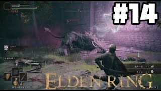 ナイス連携!!(囮) / ELDEN RING初見実況 #14
