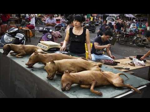 The 20 Strangest Dishes in China