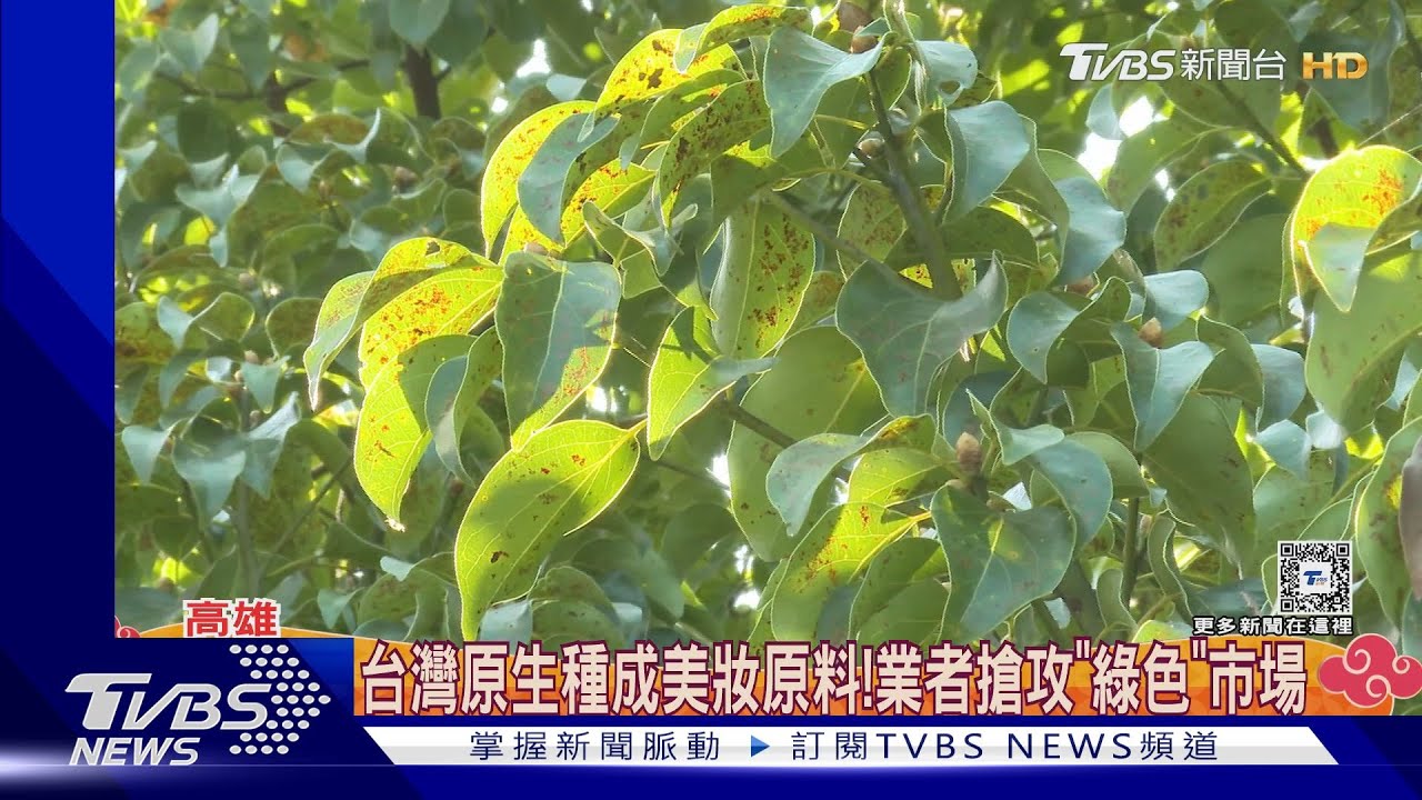 美妝原料廠打造循環經濟! 助小農把農廢物變「綠金」