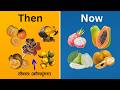 Ancient Fruits What Did Indians Eat Before Colonization Ancientvegetables