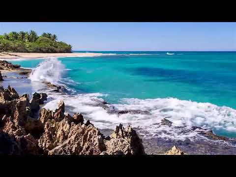 Gentle Waves on a Small White Rock Beach   Relaxing Ocean Sounds