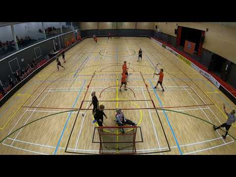 Jäppärä  - HoSB 11-3, maalikooste (Jäppärän maalit)