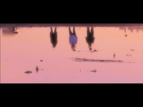 孔雀眼面相
