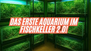 The first AQUARIUM in the FISH CELLAR 2 0