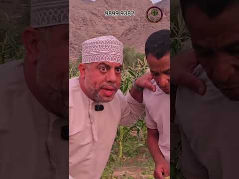 شركة قت عُمان