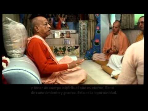 BG.4.12-13. Prabhupāda. Clases en español subtituladas. Nueva York, 29 julio 1966