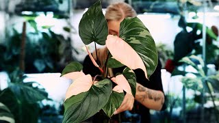 HOW GOREOUS IS THIS PLANT!? Also I need your help!