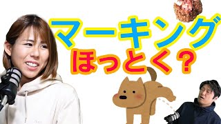 【犬のしつけ、マーキングはなぜ？対策必要？ご飯食べないのはなぜ？】の疑問に答えます。甘噛み　吠え