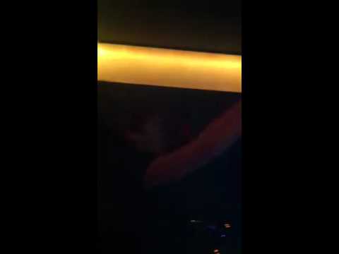 Jon Fitz at Kitchen Paddys night 2012