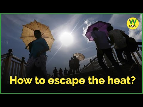 How to escape the heat?