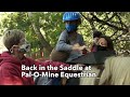 Back In the Saddle at Pal-O-Mine Equestrian