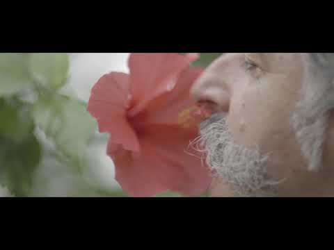 John De Leo & Fabrizio Puglisi - Aritmia [Teaser One]