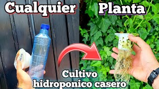 CULTIVA cualquier PLANTA en AGUA! Cultivo hidroponico casero para HUERTO urbano (Fresa hidroponica)