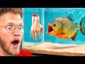 ONE HOUR Of Adopting Dangerous Pets