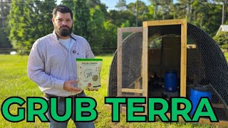 GRUB TERRA Review | Healthy Chicken Treats Our Flock Loves!