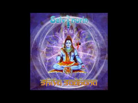 Salvinorin - Shiva Sadhana [Full Album]
