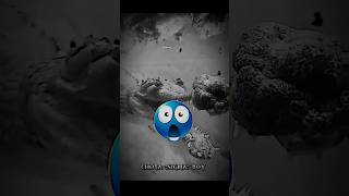 sigma rule😎 #facetroll #trollface #troll #trolling #sigma #shorts #short #shortfeed #shortsfeed