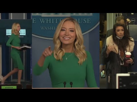 Kayleigh McEnany: 'In 2016, many sought to undermine him, discredit him, & deny his victory'