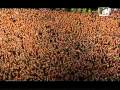 Tote Hosen - Live am Ring 6.6.2004 - 13 - Azzurro ...