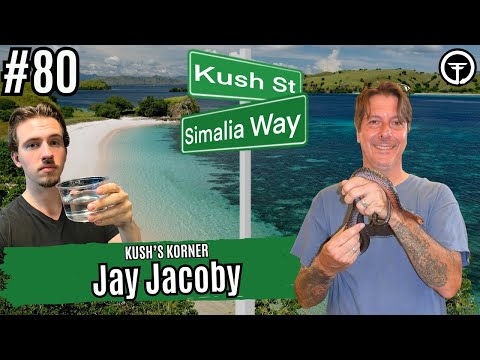 Pine Snake Masterclass With Jay Jacoby | Kush's Korner