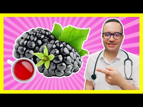 Chá de Amora para menopausa e TPM: benefícios. Para que serve? Como preparar?