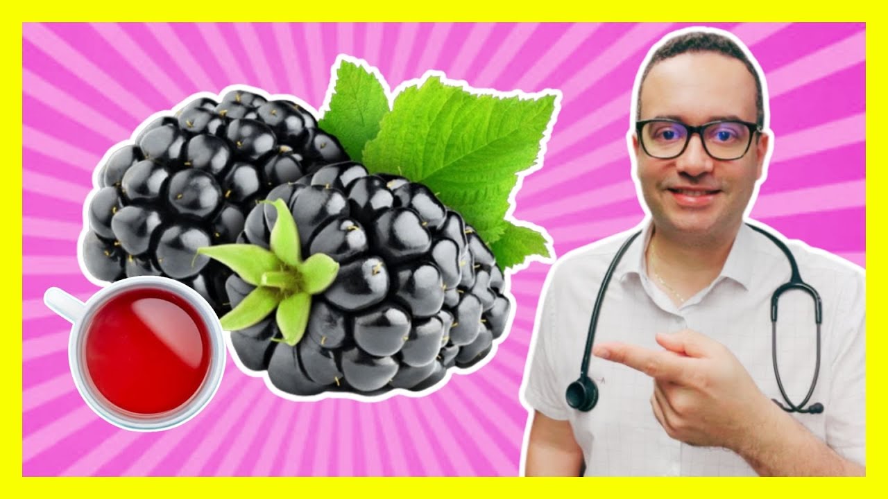 Chá de Amora para menopausa e TPM: benefícios. Para que serve? Como preparar?