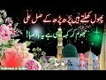 Phool Khilty Han Parh Parh K Saliha Ala Best Islamic Naat