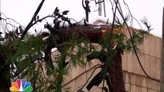 حصاد 2013 في الأردن