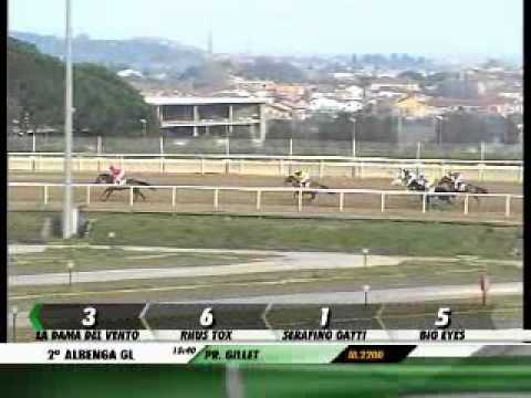 07/01/2013, Albenga Galoppo, Premio Torino F.c