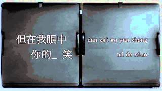 依然愛你 Yi Ran Ai Ni - 王力宏 Wang LeeHom  (Instrumental \ Karaoke with pinyin lyrics)