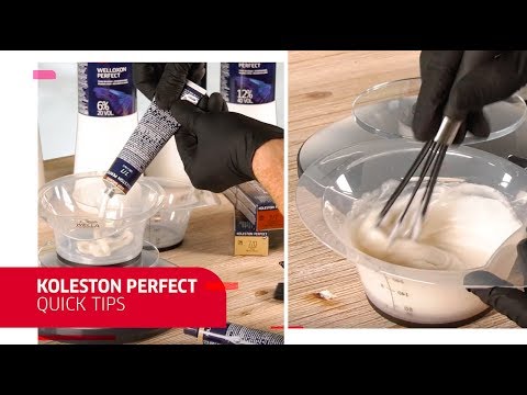 Quick Tips on Gray Coverage with Koleston Perfect |...