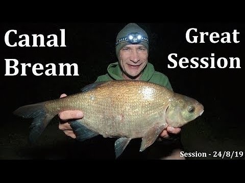 Canal Float Fishing - Bagging Up On Bream - 24/8/19 (Video 125)