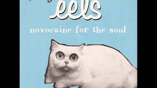 Eels - Novocaine For The Soul