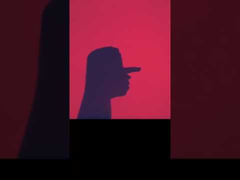 Extreme Shadow Puppets