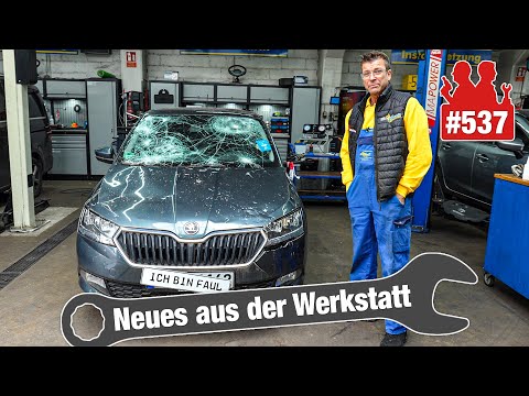 Skoda completely DESTROYED - after only 4,000 km! 😢 | BMW 6 Series full of nuts!! 🥜🥜🥜